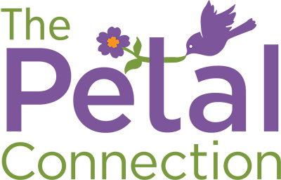 The-Petal-Connection-Header